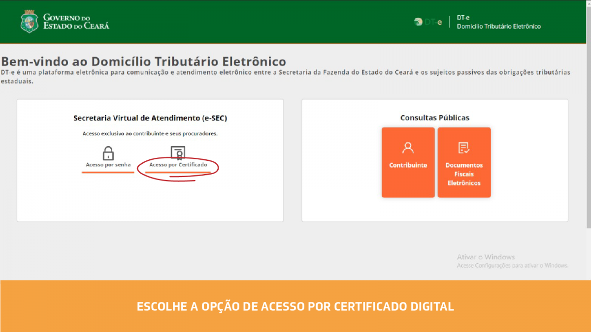 Passo a passo 2